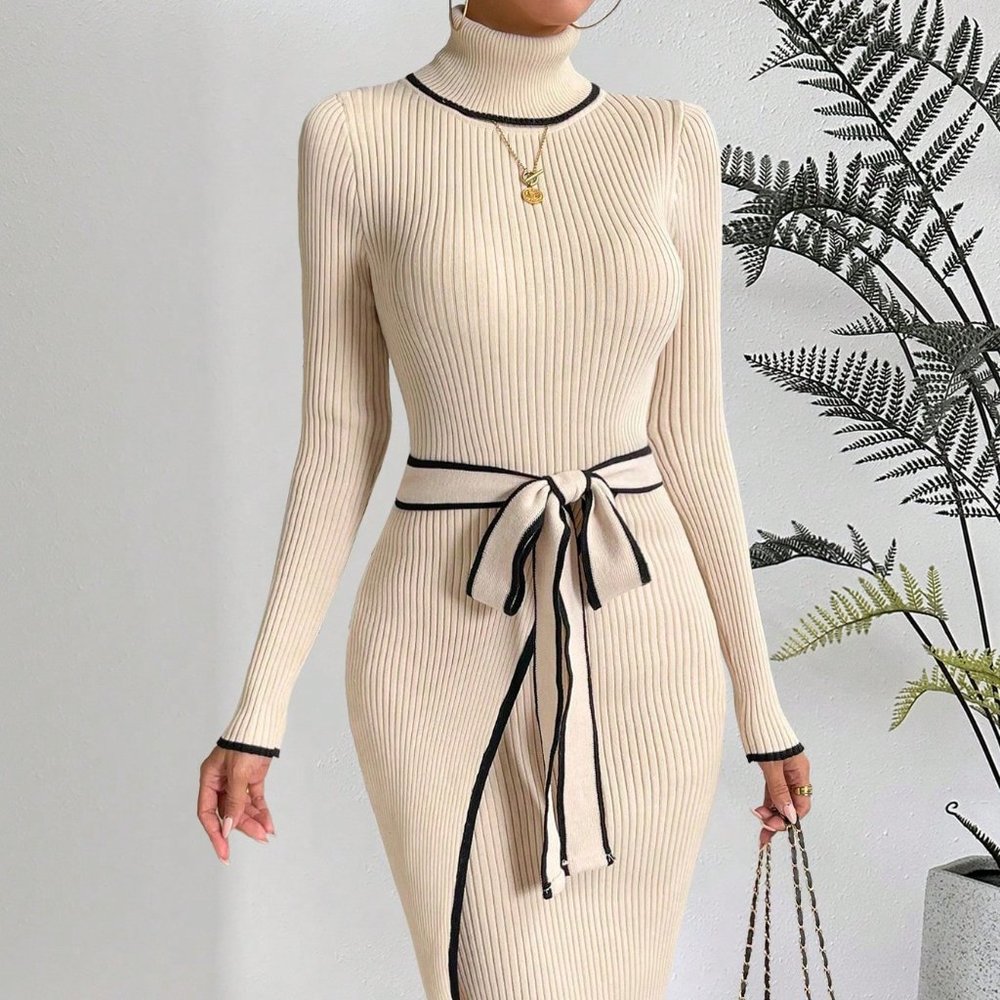PASSION Contrast Binding Turtleneck Belted Sweater Dress - Picture 2 of 15